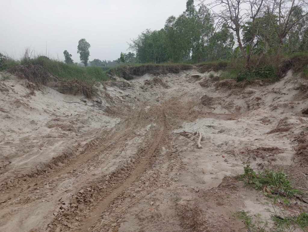 কাটলা চৌঘরিয়া জিরো পয়েন্টে অবৈধ ভাবে বালি উত্তোলনের মহোৎসব,ফসলি জমি ধ্বংসের মুখে—প্রশাসনের হস্তক্ষেপ জরুরি
