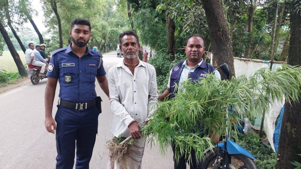একজন যুবকের গাঁজা চাষ, যুবক গ্রেফতার