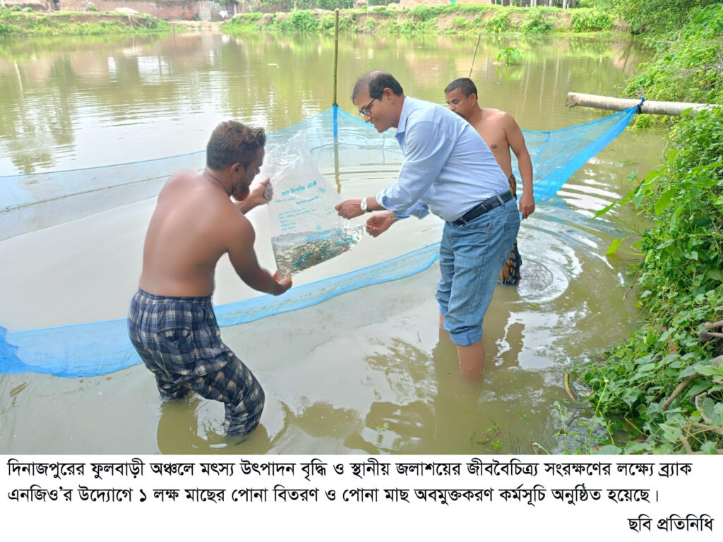 মৎস্যসম্পদ বৃদ্ধিতে আমবাড়ীতে ব্র্যাকের পোনা অবমুক্তকরণ কর্মসূচি