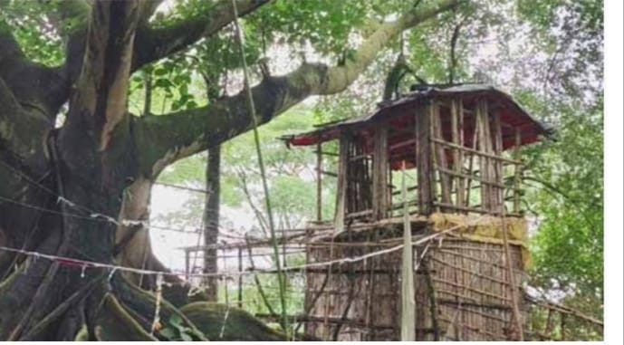 দোয়ারাবাজারে জঙ্গলে বটবৃক্ষের নিচে ‘আস্তানা’ ঘিরে এলাকায় আতঙ্ক  