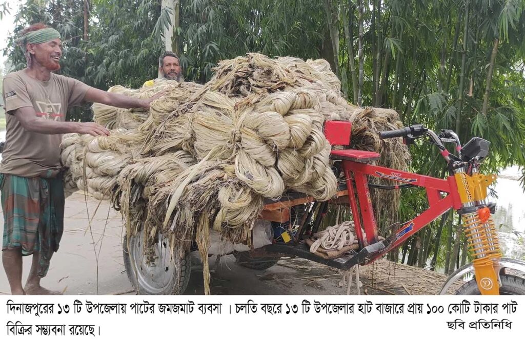 দিনাজপুরের ১৩টি উপজেলায় পাটের জমজমাট বাজার, প্রায় ১০০ কোটি টাকার ব্যবসার আশা